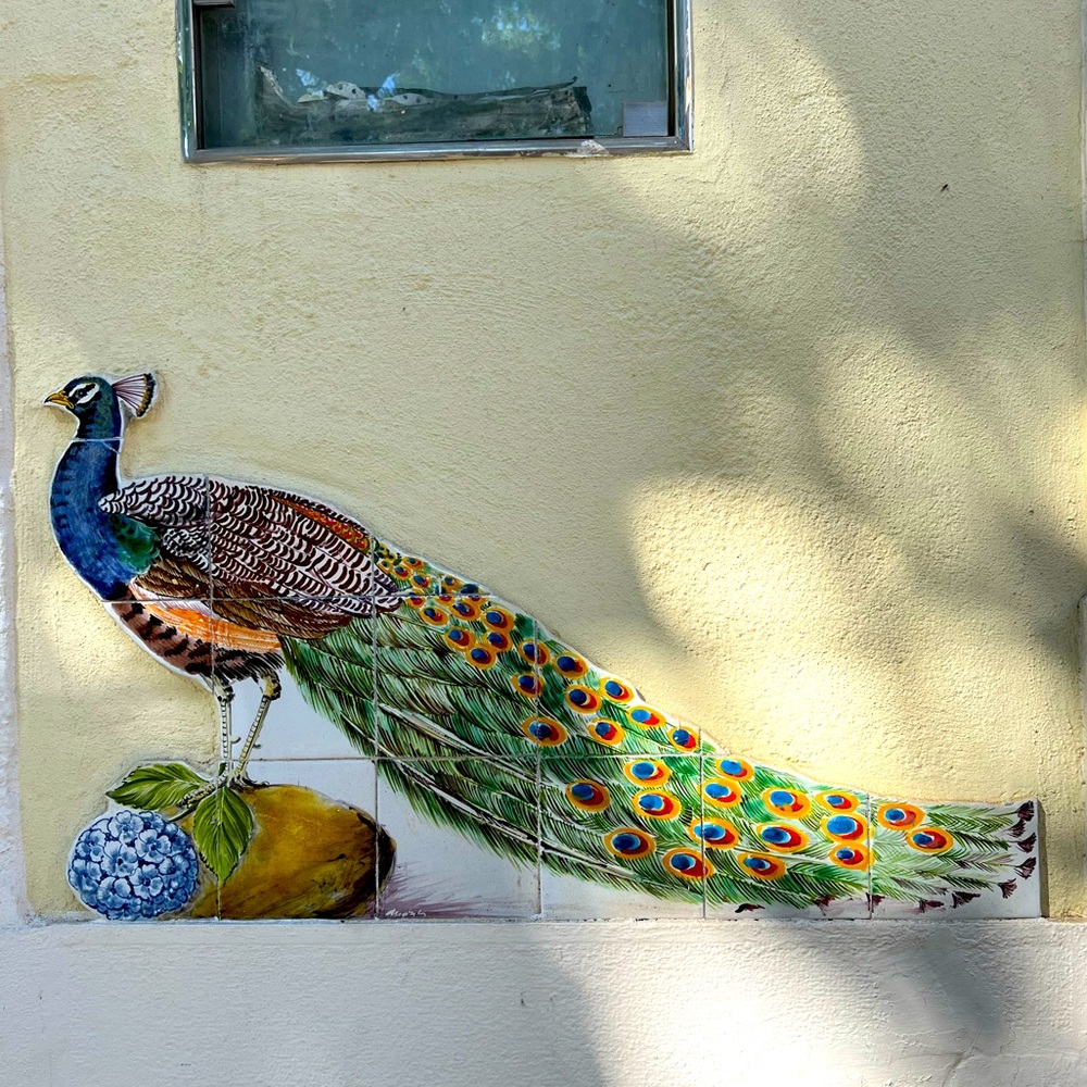 Meet your Posher, Alina